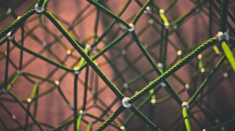 Netzwerkschulen starten mit neuen Plänen ins Jahr 2019 Netzwerkschulen starten mit neuen Plänen ins Jahr 2019