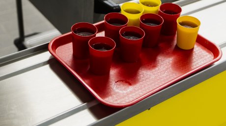 Thema beim Schulkongress 2021: Ein gutes gesundes Mittagessen gehört zum Ganztag Thema beim Schulkongress 2021: Ein gutes gesundes Mittagessen gehört zum Ganztag