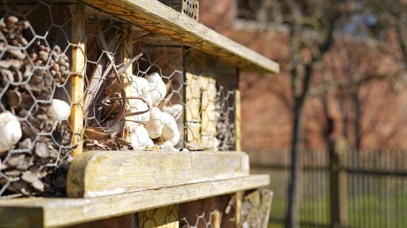 Insektenhotel