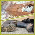 Holzspäne und dreckige Gummistiefel