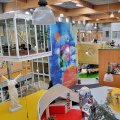 Agora Schule 2
